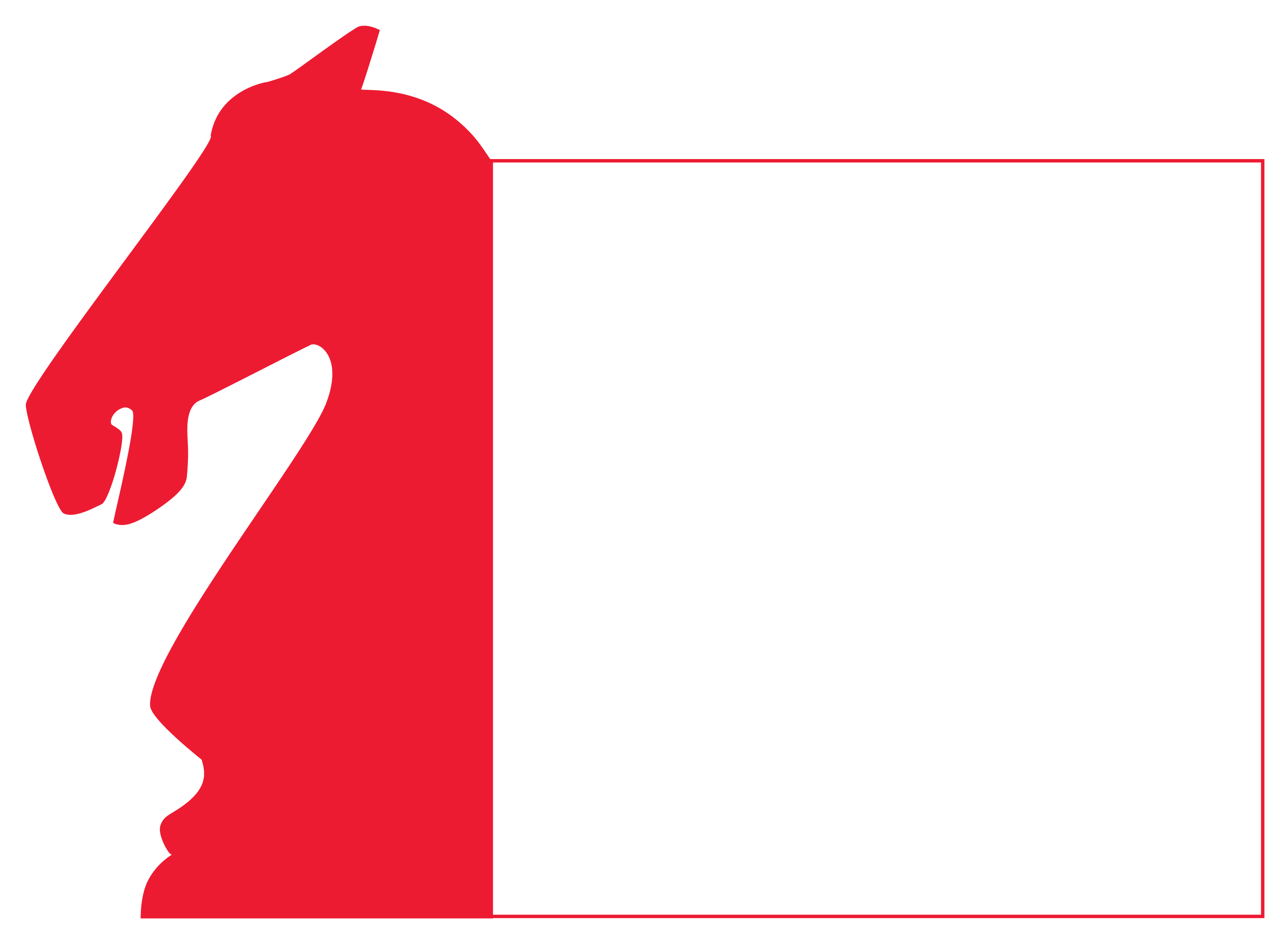 ✨Follow the LIVE games of the Summer Chess Classic on