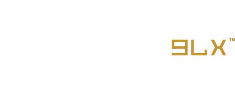 2020 Champions Showdown: Chess 9LX